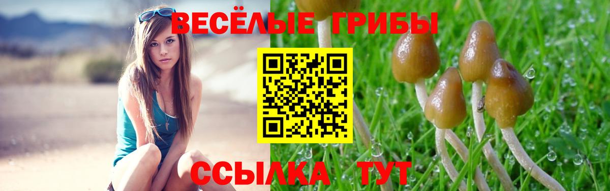 Химки  Псилоцибиновые грибы MAGIC MUSHROOMS  Вход с VPN 